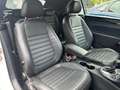 Volkswagen Beetle Cabriolet R-Line BMT/Start-Stopp*Xenon Weiß - thumbnail 11