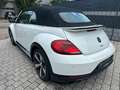 Volkswagen Beetle Cabriolet R-Line BMT/Start-Stopp*Xenon Weiß - thumbnail 6