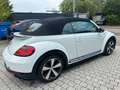 Volkswagen Beetle Cabriolet R-Line BMT/Start-Stopp*Xenon Weiß - thumbnail 9
