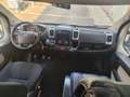 Fiat Ducato 33 2.3 MJT 130CV PM-TM Panorama Grigio - thumbnail 8