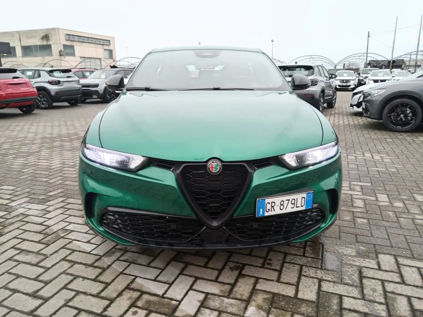 Alfa Romeo Tonale Tonale 1.6 diesel 130 CV TCT6 Sprint Vert - 2