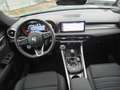 Alfa Romeo Tonale Tonale 1.6 diesel 130 CV TCT6 Sprint Vert - thumbnail 15