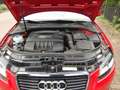 Audi A3 1.6 Sportback Attraction Rot - thumbnail 17