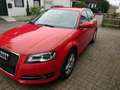 Audi A3 1.6 Sportback Attraction Rosso - thumbnail 7