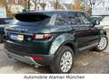 Land Rover Range Rover Evoque SE 4x4, Leder, Navi, Panorama Verde - thumbnail 6