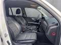 Mercedes-Benz GLK 350 CDI 4Matic AHK Xenon PDC Weiß - thumbnail 12