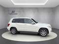 Mercedes-Benz GLK 350 CDI 4Matic AHK Xenon PDC Weiß - thumbnail 8