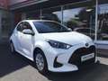 Toyota Yaris Hybrid - Business Edition mit Sitzheizung Blanc - thumbnail 8
