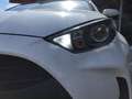 Toyota Yaris Hybrid - Business Edition mit Sitzheizung Blanc - thumbnail 9