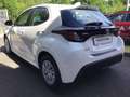 Toyota Yaris Hybrid - Business Edition mit Sitzheizung Blanc - thumbnail 5