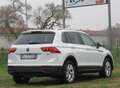 Volkswagen Tiguan 2.0 tdi Life 4motion 150cv DSG Bianco - thumbnail 3