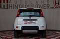 Fiat Panda TwinAir 85 4x4 Wild ERSTBESITZ Weiß - thumbnail 11