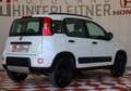 Fiat Panda TwinAir 85 4x4 Wild ERSTBESITZ Weiß - thumbnail 2