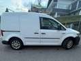 Volkswagen Caddy Caddy Kombi Conceptline 2,0 TDI Conceptline Weiß - thumbnail 2