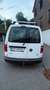 Volkswagen Caddy Caddy Kombi Conceptline 2,0 TDI Conceptline Weiß - thumbnail 3
