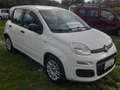 Fiat Panda 1.2 BENZ EASY Bianco - thumbnail 2