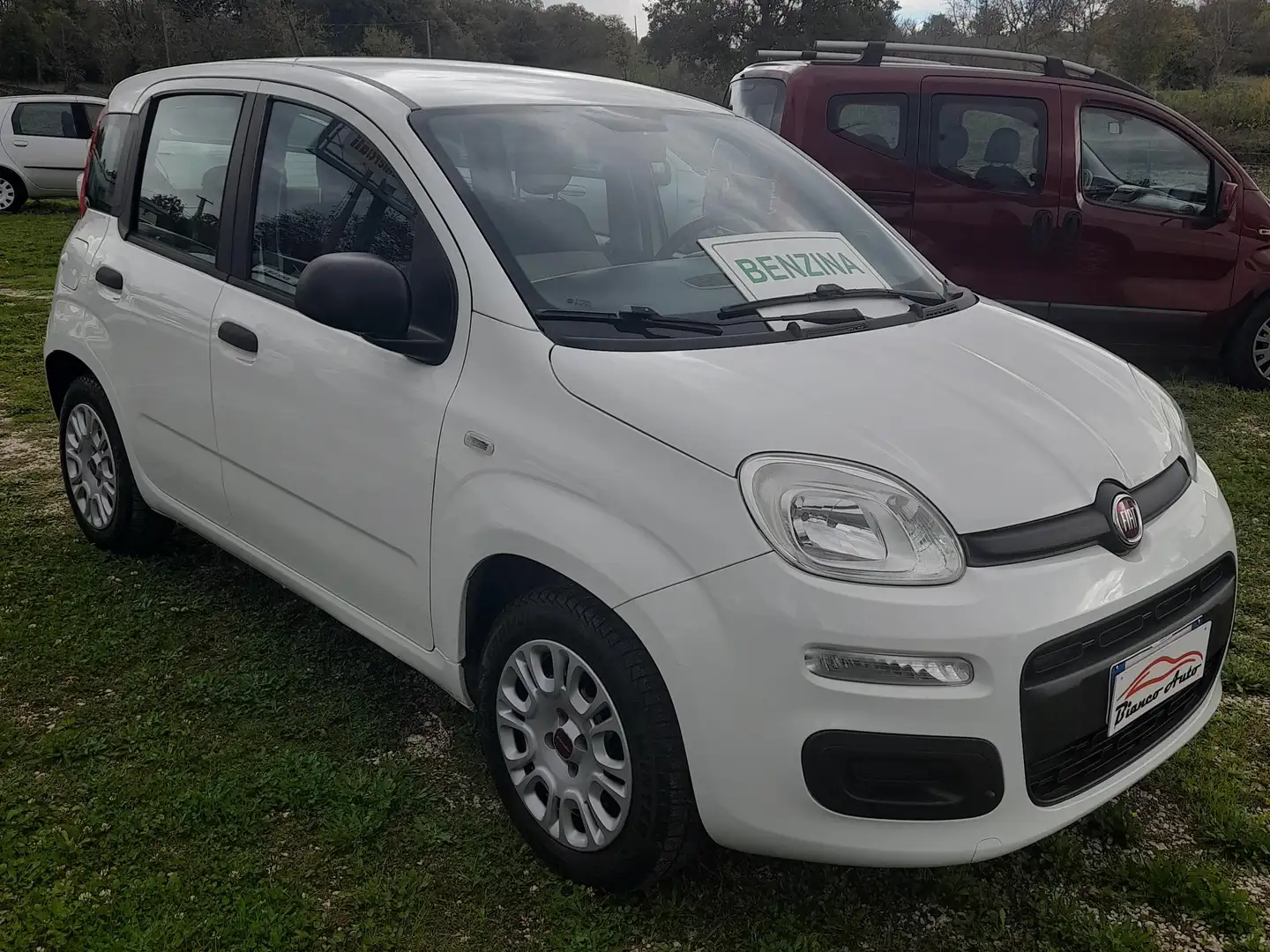 Fiat Panda 1.2 BENZ EASY Bianco - 2
