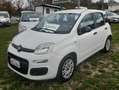 Fiat Panda 1.2 BENZ EASY Bianco - thumbnail 5