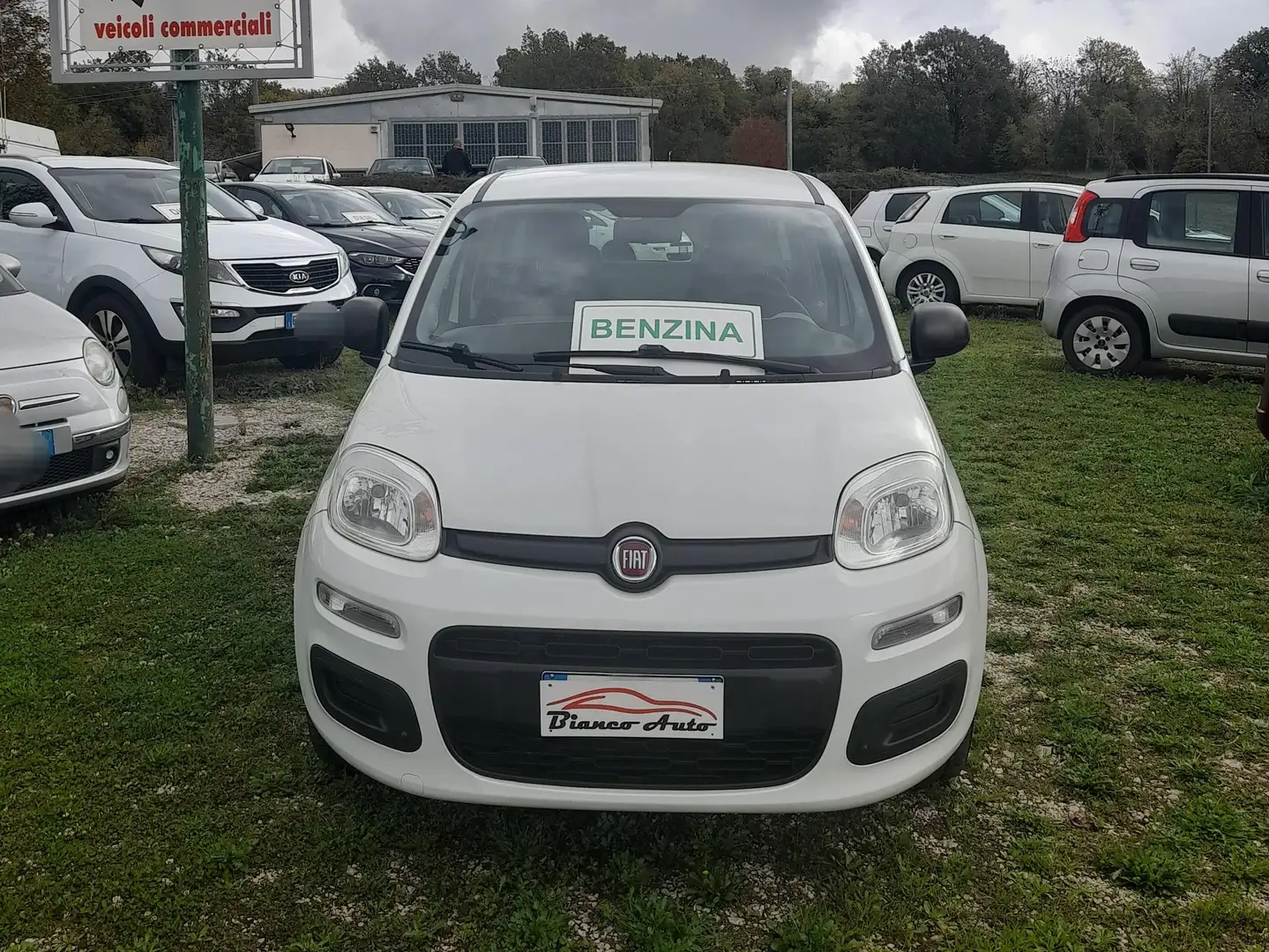 Fiat Panda 1.2 BENZ EASY Bianco - 1