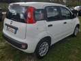 Fiat Panda 1.2 BENZ EASY Bianco - thumbnail 3