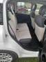 Fiat Panda 1.2 BENZ EASY Bianco - thumbnail 9