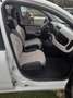 Fiat Panda 1.2 BENZ EASY Bianco - thumbnail 8