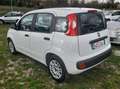 Fiat Panda 1.2 BENZ EASY Bianco - thumbnail 4