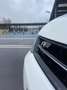 Volkswagen Polo 1.6 CR TDi Highline DPF Blanc - thumbnail 10