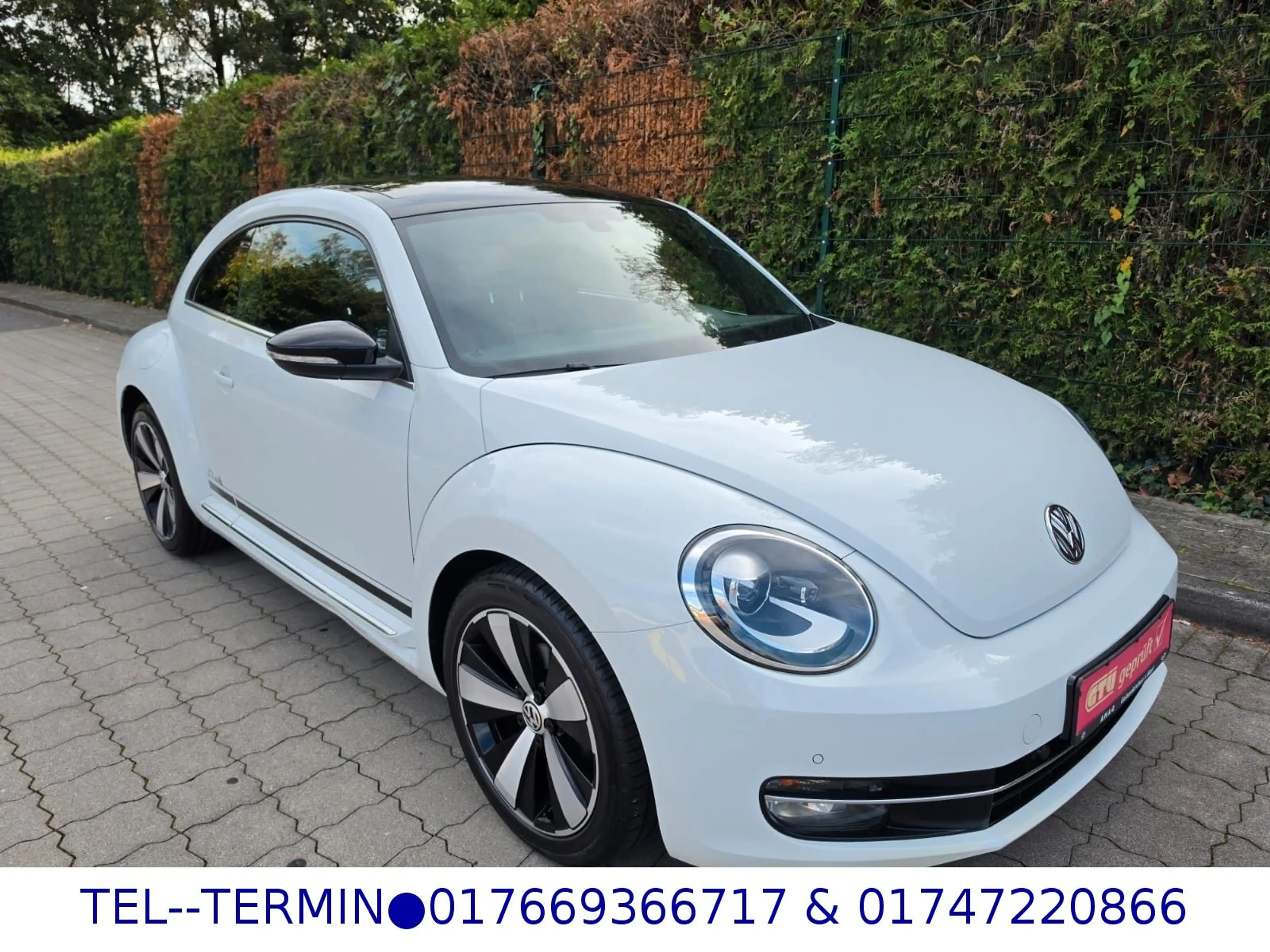 Volkswagen Beetle Lim. Club *PANO*1Hd*NAVI*XEN*LED