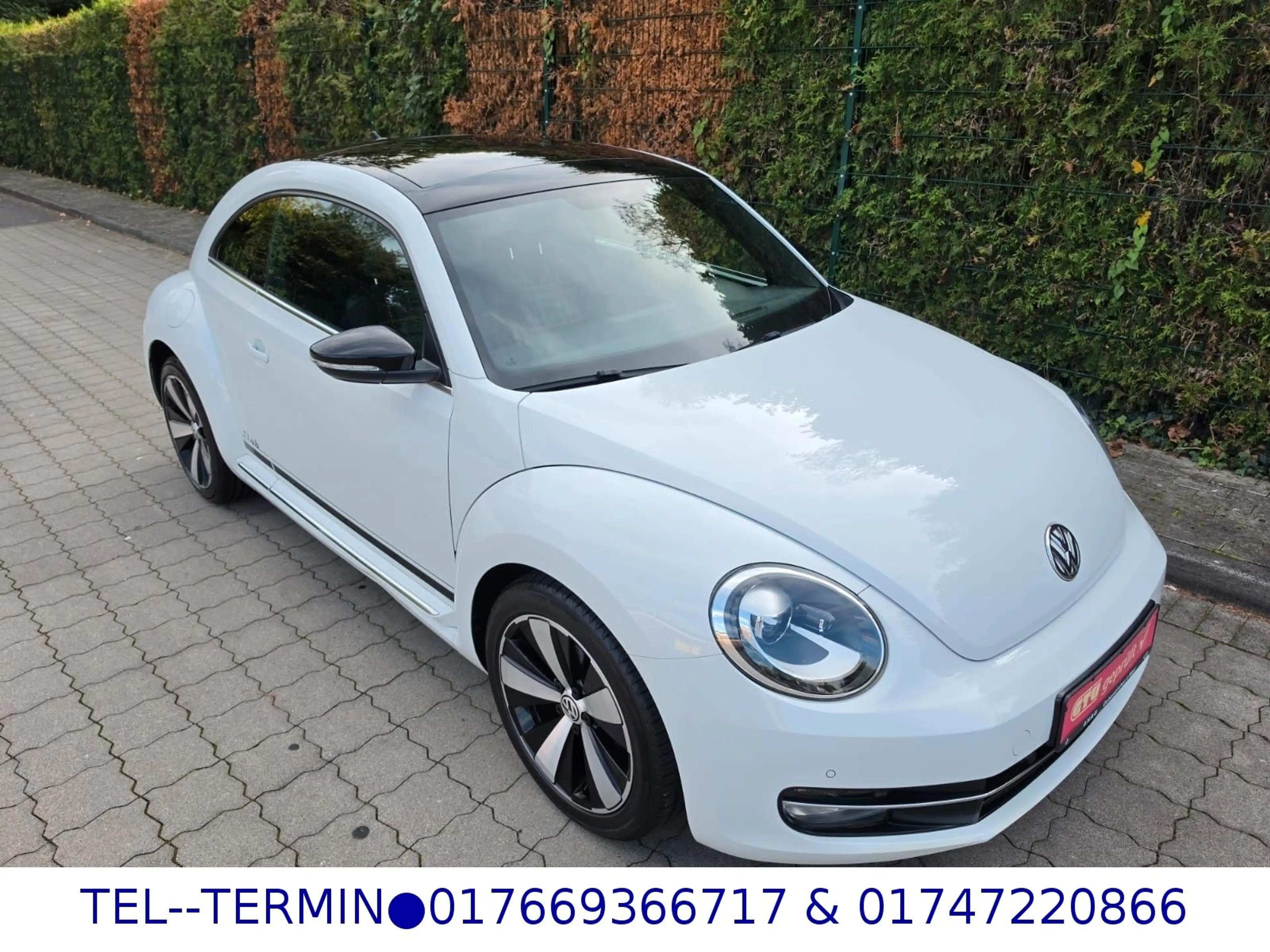 Volkswagen Beetle Lim. Club *PANO*1Hd*NAVI*XEN*LED — photo 2