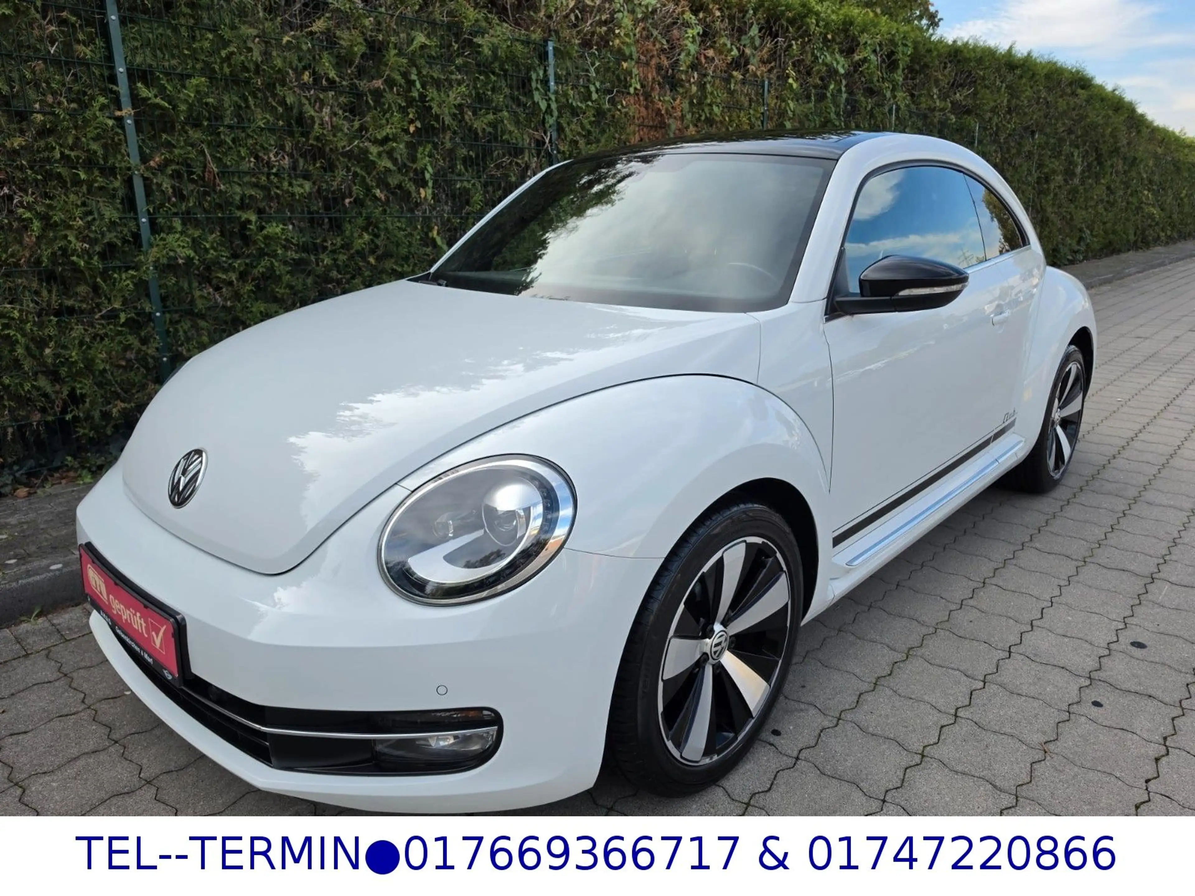 Volkswagen Beetle Lim. Club *PANO*1Hd*NAVI*XEN*LED — photo 4