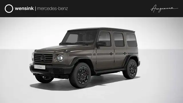 Mercedes-Benz G 580 electric 117 kWh | MANUFAKTUR Monzagrijs magno | S
