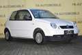 Volkswagen Lupo /TÜV NEU/ Weiß - thumbnail 6