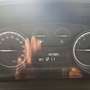 Lancia Ypsilon 1.0 FireFly 5 porte S&S Hybrid Ecochic Gold Nero - thumbnail 8