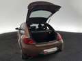 Volkswagen Beetle 2.0 TSI R-Line NAVI XENON PDC Brun - thumbnail 6