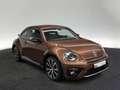 Volkswagen Beetle 2.0 TSI R-Line NAVI XENON PDC Brun - thumbnail 5