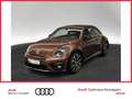 Volkswagen Beetle 2.0 TSI R-Line NAVI XENON PDC Brun - thumbnail 1