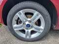 Ford Fiesta Fiesta Trend 1,25 Trend Rot - thumbnail 12