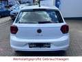 Volkswagen Polo neues Mod.*Sitzheiz*PDC*1.Hand* Blanco - thumbnail 9