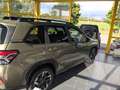 Subaru Forester Forester Luxury 8 J. GARANTIE! Vert - thumbnail 8