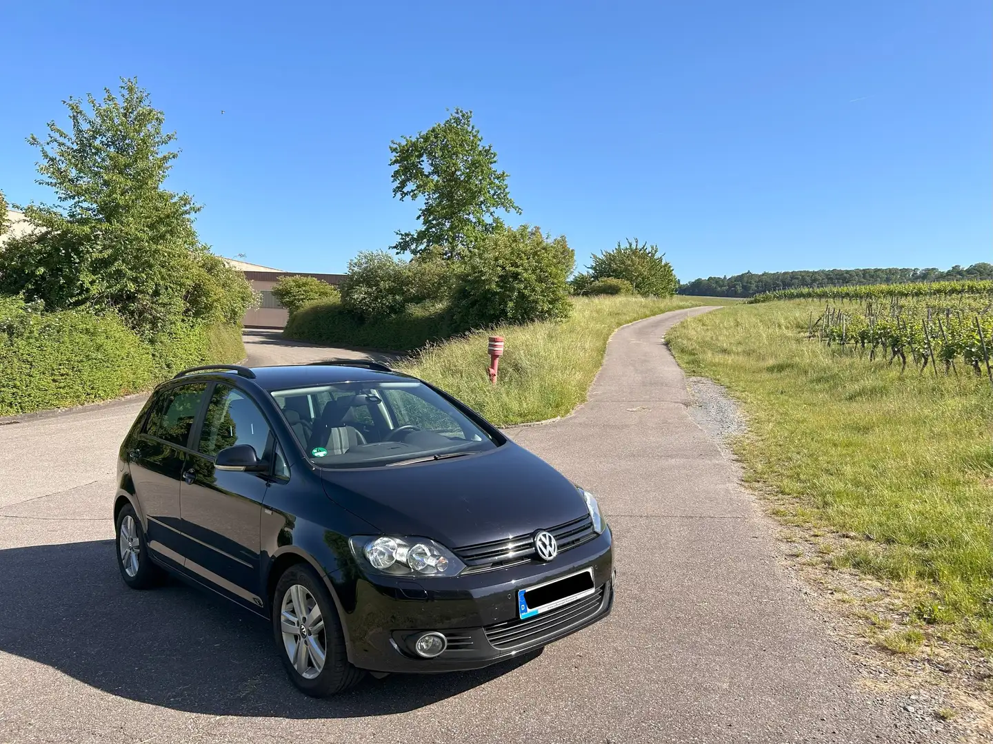 Volkswagen Golf Plus Golf Plus 1.4 TSI MATCH Schwarz - 2