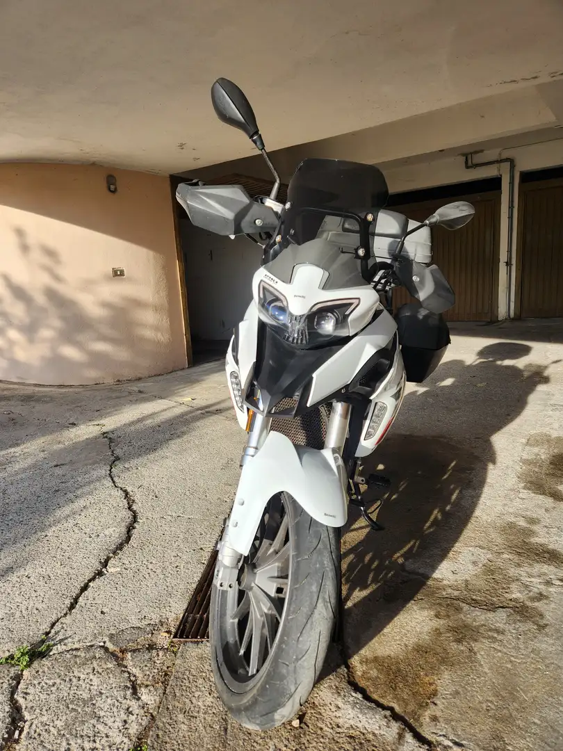 Benelli TRK 251 Blanco - 2