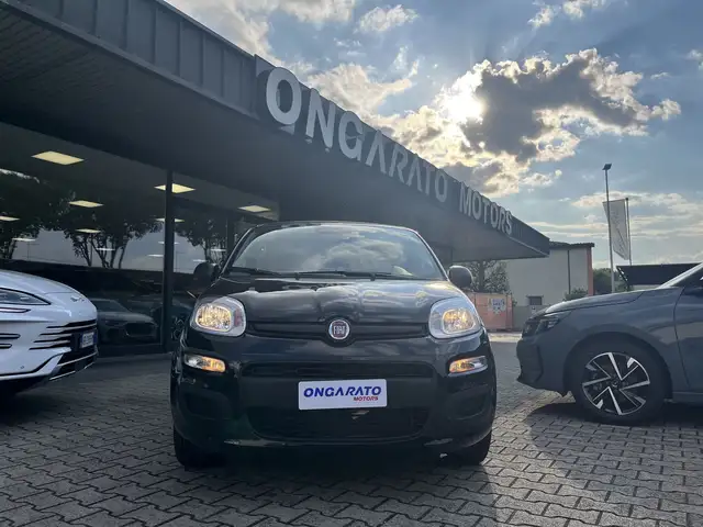 Fiat Panda view 2