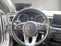 Kia Ceed / cee'd Kia Ceed Sportswagon Silber Weiß - thumbnail 9