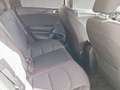 Kia Ceed / cee'd Kia Ceed Sportswagon Silber Weiß - thumbnail 18