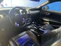Ford Mustang Fastback 2.3 EcoBoost - 317cv- Garantie 12 Mois Bleu - thumbnail 14