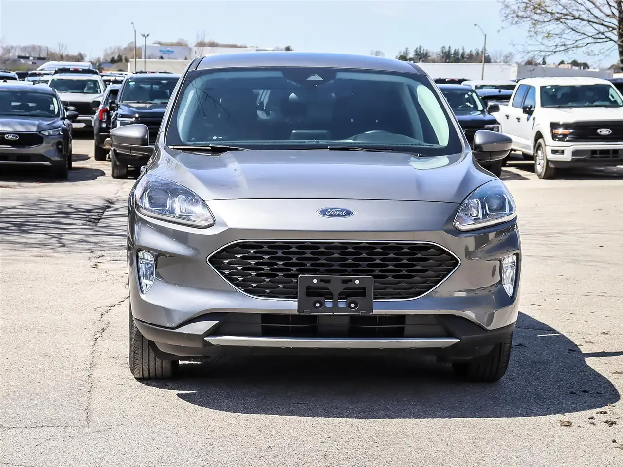 Ford Escape снимка Ford Escape
