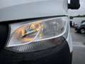 Mercedes-Benz Sprinter 317 CDI KA PRO L3H2 Kam*Klima*Sitz-Hzg* Weiß - thumbnail 4
