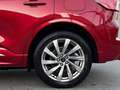 Ford Kuga 2.5 PHEV VIGNALE *AHK* Rot - thumbnail 9