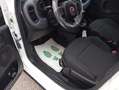 Fiat Panda Cross 1.0 FireFly S&S Hybrid 70 CV CROSS Wit - thumbnail 9